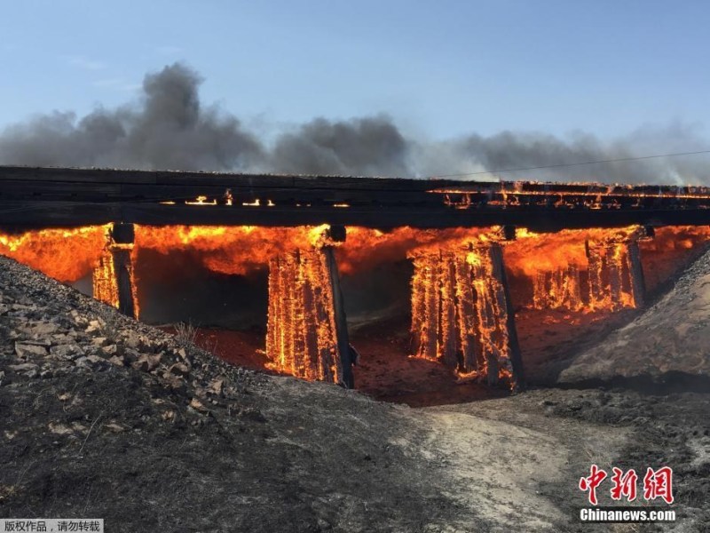 美国科罗拉多州森林大火